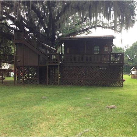 Isabel Berry Creek Cabins Bed & Breakfast エクステリア 写真