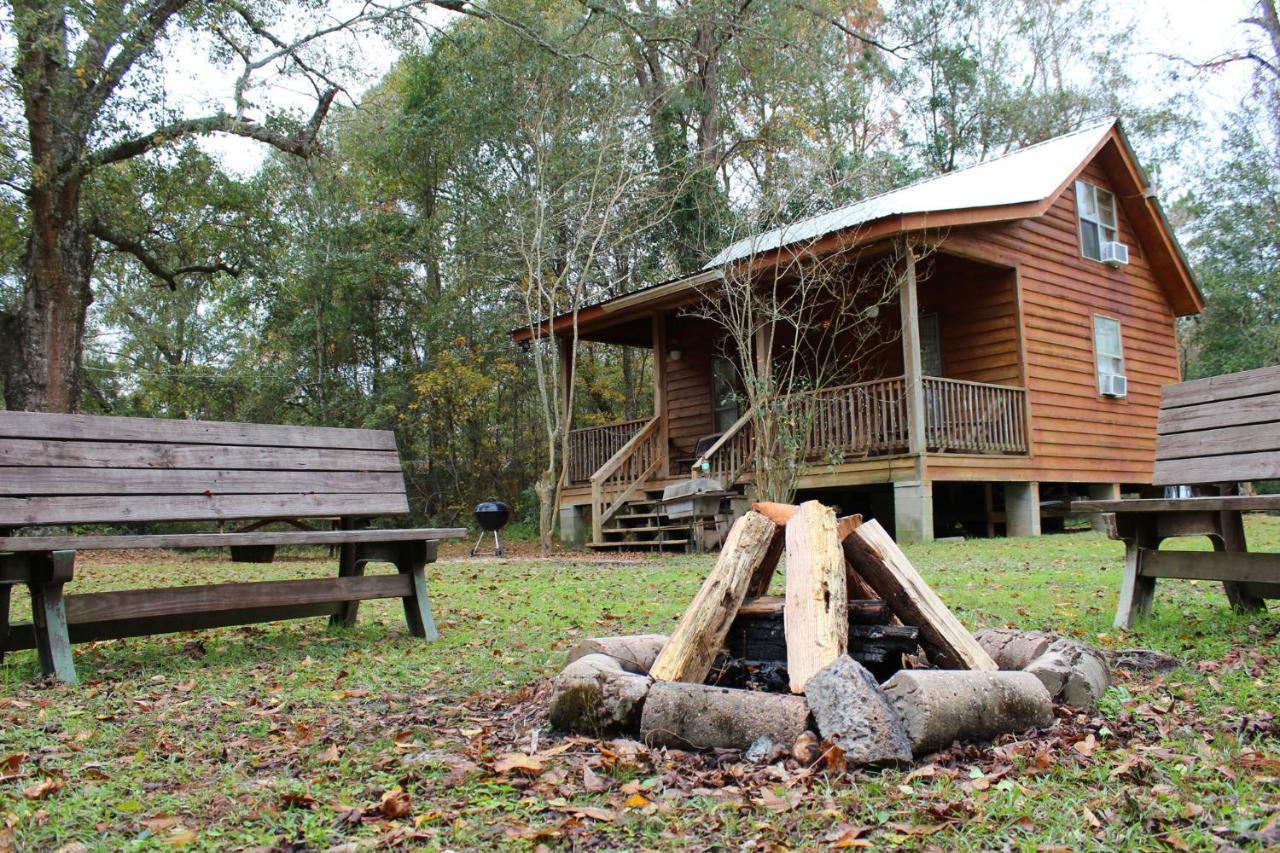 Isabel Berry Creek Cabins Bed & Breakfast エクステリア 写真