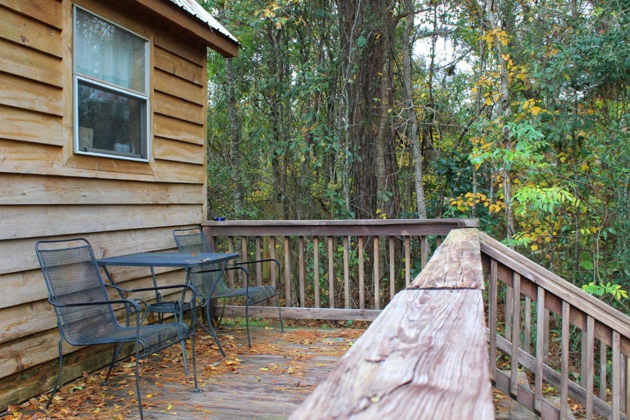 Isabel Berry Creek Cabins Bed & Breakfast エクステリア 写真