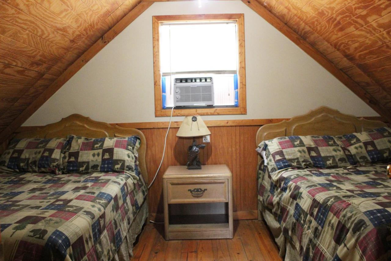 Isabel Berry Creek Cabins Bed & Breakfast エクステリア 写真