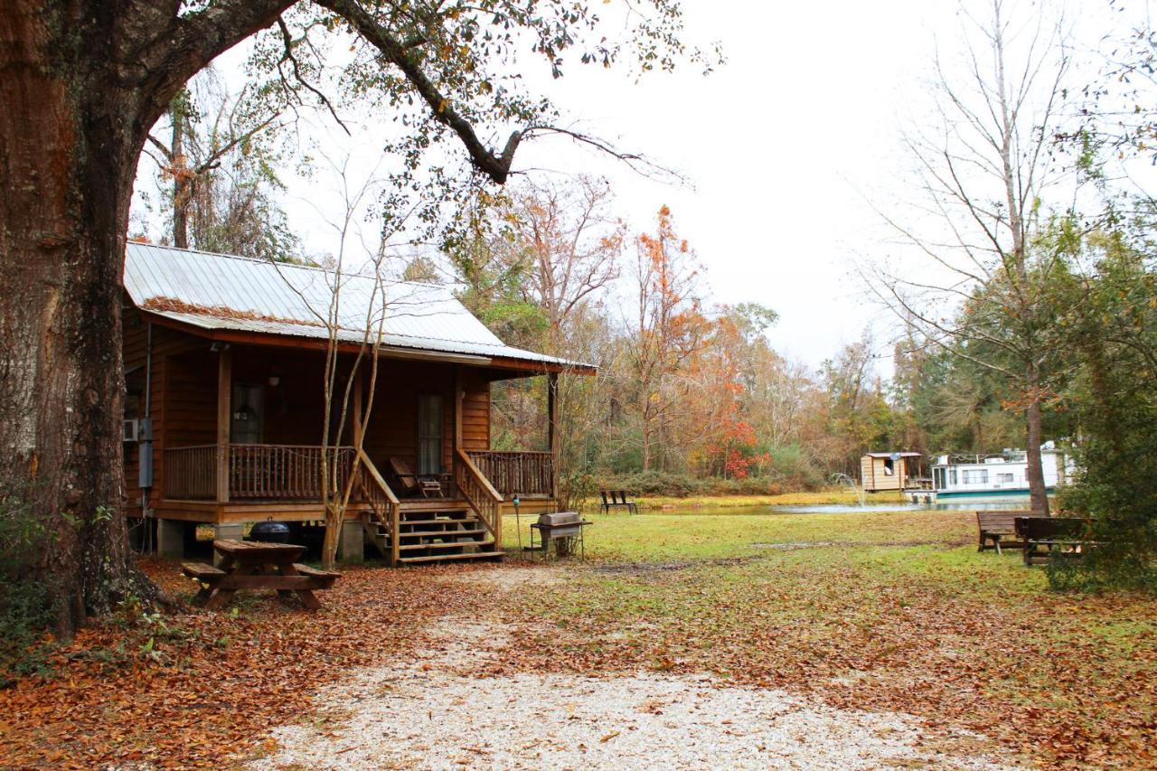 Isabel Berry Creek Cabins Bed & Breakfast エクステリア 写真