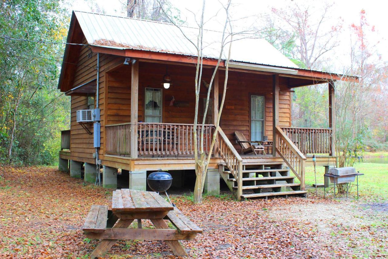 Isabel Berry Creek Cabins Bed & Breakfast エクステリア 写真