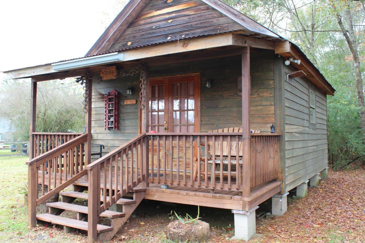 Isabel Berry Creek Cabins Bed & Breakfast エクステリア 写真