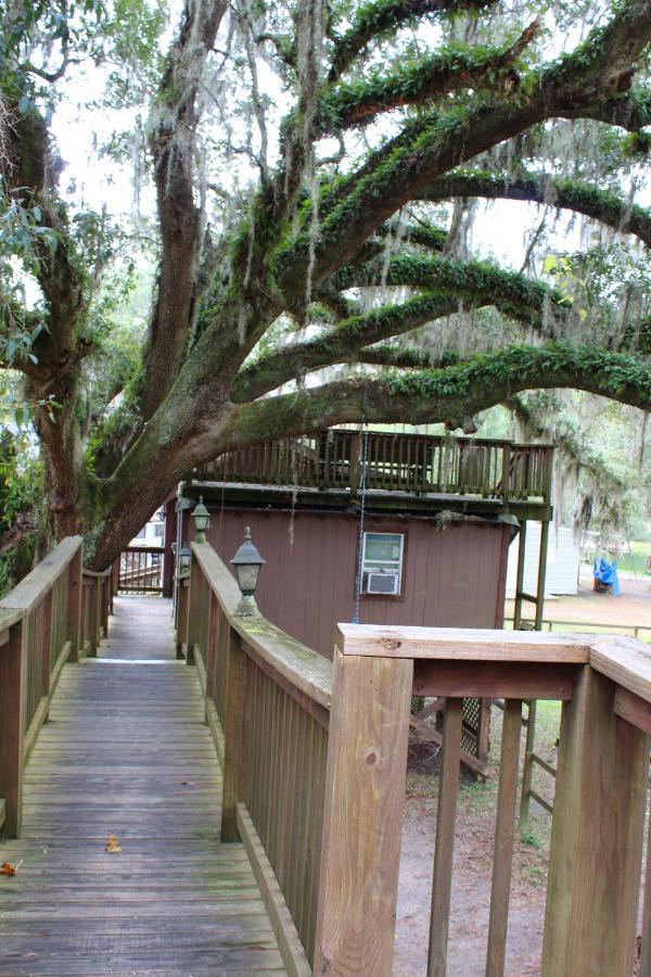 Isabel Berry Creek Cabins Bed & Breakfast エクステリア 写真