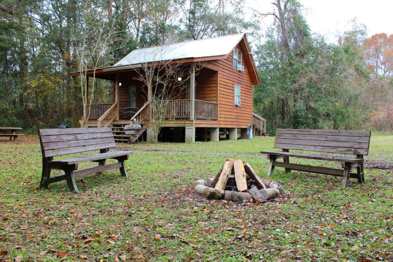Isabel Berry Creek Cabins Bed & Breakfast エクステリア 写真